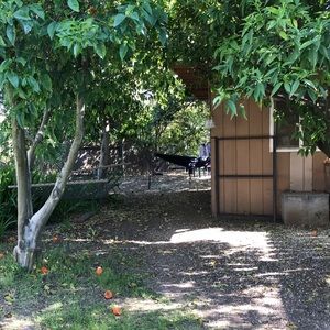 Shop Closing! No offer will be turned away!